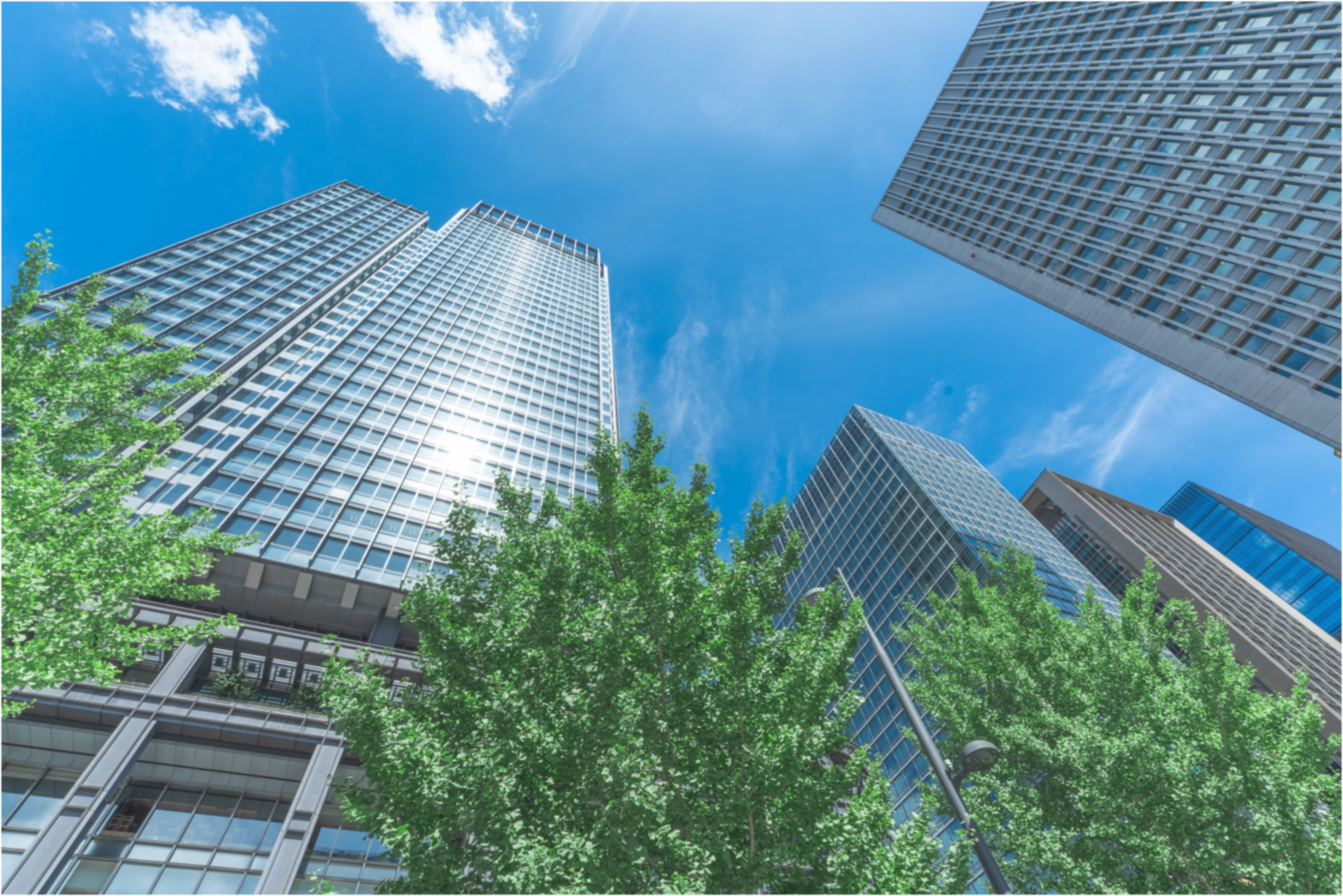 企業情報