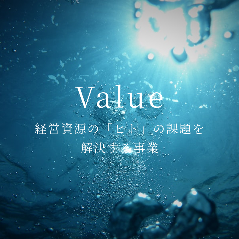 Value|経営資源の「ヒト」の課題を解決する事業